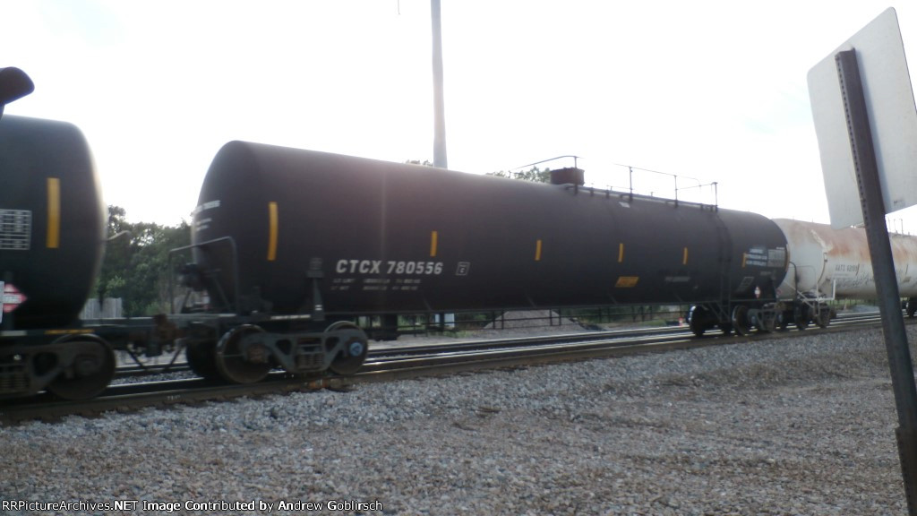 CTCX 780556